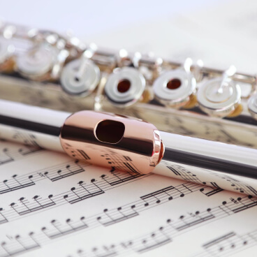 Musician Template Home Gallery Img 2