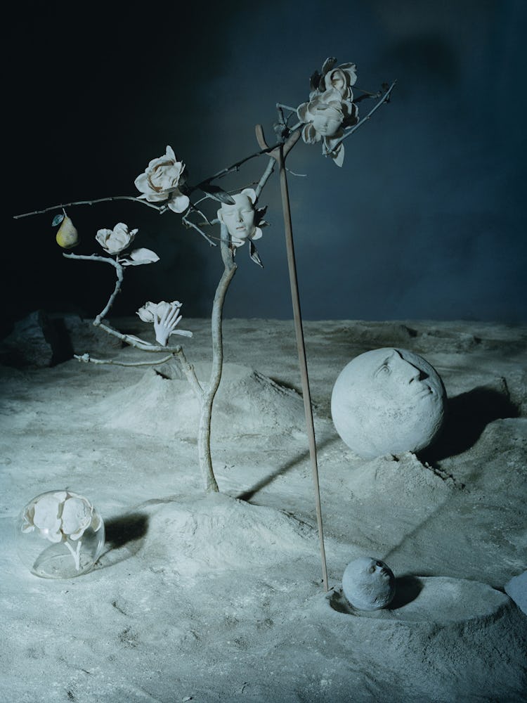 5852c7e69c190ec57ac0552a 1215.w.cate .lo15